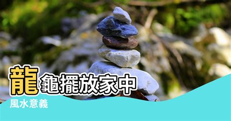 龍龜擺放客廳|龍龜的功效、風水意義、擺放方式、供養禁忌和注意事項，該知道。